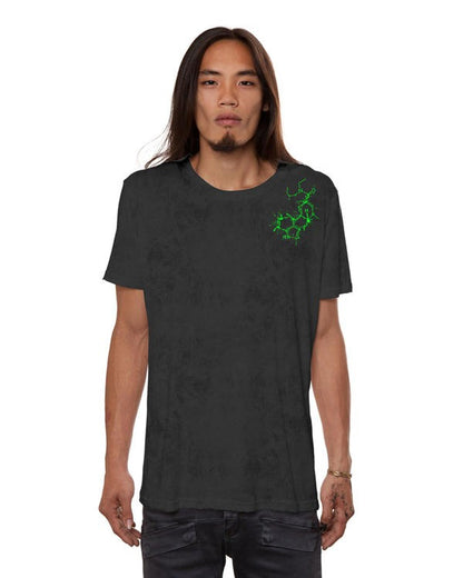 ALBERT ACID T-Shirt In Grey