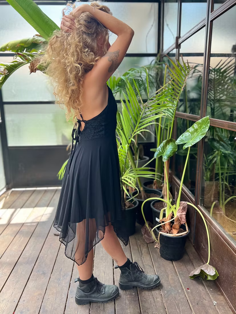 FAIRY Lace & Chiffon Dress