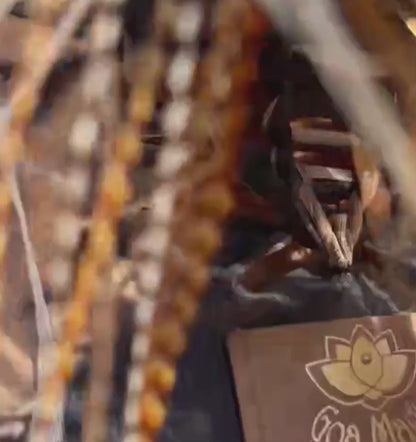 DELI PLUS Smoky Print Swimsuit (Lycra Fabric)